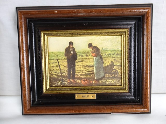 Millet (x2) - afbeelding 4 van  5