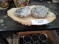 Mineraal - afbeelding 1 van  3