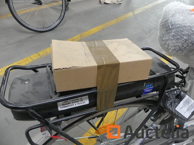 Minerva formula elektrische fiets - afbeelding 2 van  15
