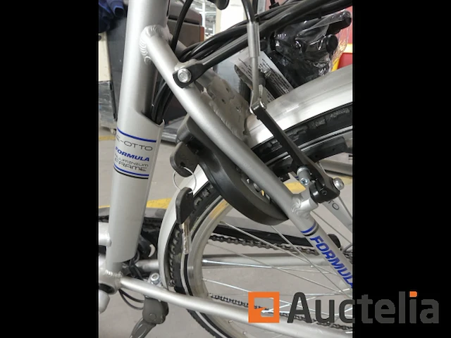 Minerva formula elektrische fiets - afbeelding 4 van  15