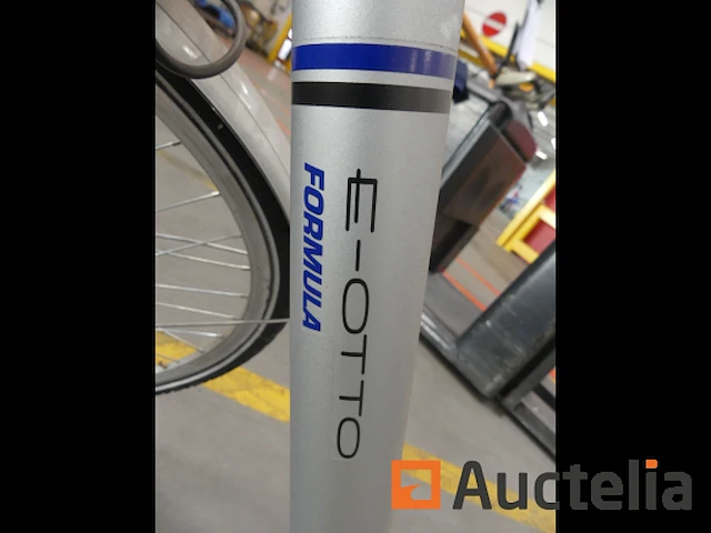 Minerva formula elektrische fiets - afbeelding 6 van  15