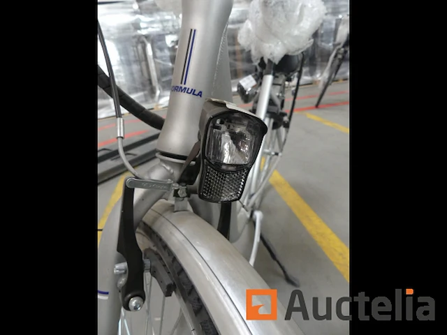 Minerva formula elektrische fiets - afbeelding 7 van  15
