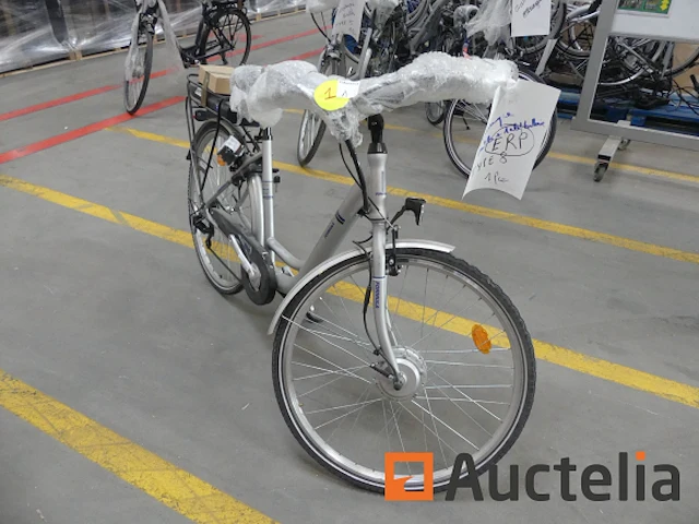 Minerva formula elektrische fiets - afbeelding 9 van  15