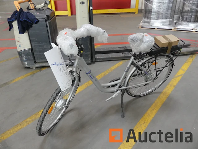 Minerva formula elektrische fiets - afbeelding 10 van  15