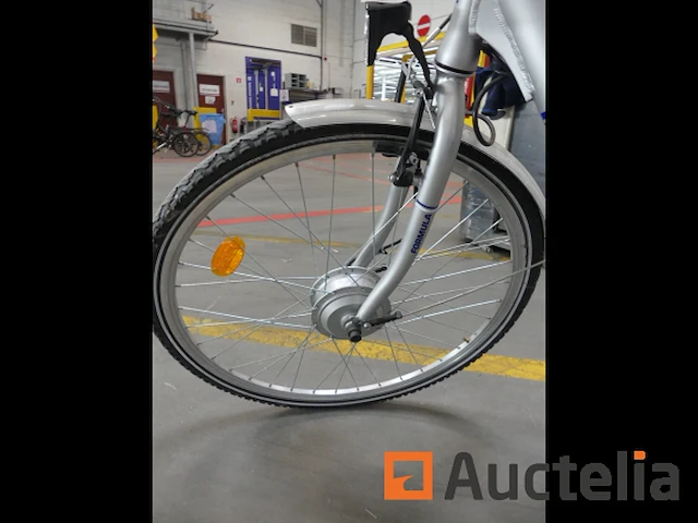 Minerva formula elektrische fiets - afbeelding 11 van  15