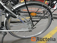 Minerva formula elektrische fiets - afbeelding 12 van  15