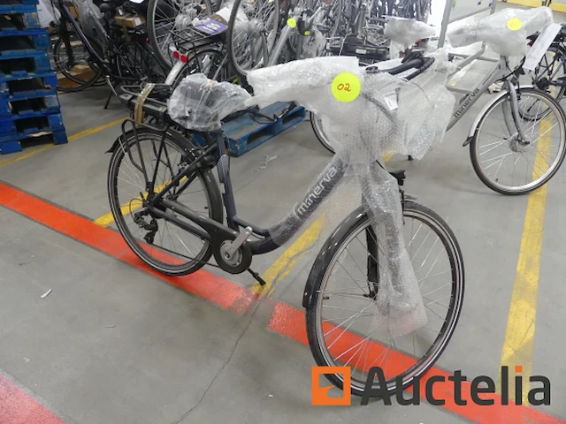Minerva motor elektrische fiets bc0010236025 - afbeelding 2 van  10