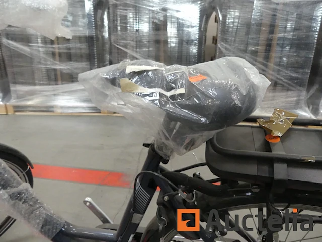 Minerva motor elektrische fiets bc0010236025 - afbeelding 1 van  10
