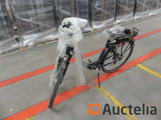Minerva motor elektrische fiets bc0010236025 - afbeelding 6 van  10