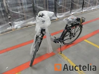 Minerva motor elektrische fiets bc0010236025 - afbeelding 6 van  10