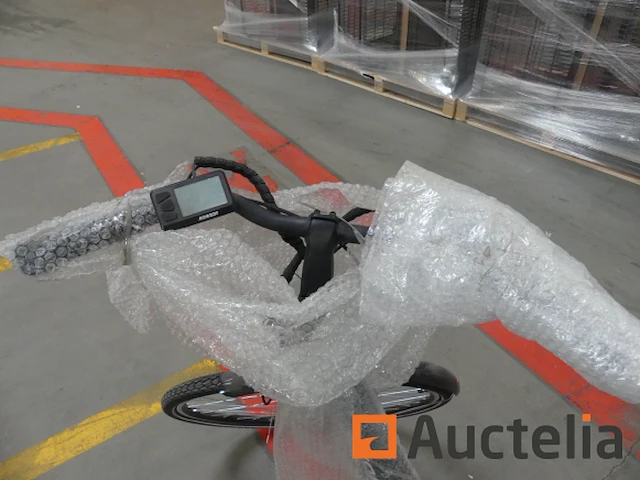 Minerva motor elektrische fiets bc0010236025 - afbeelding 7 van  10