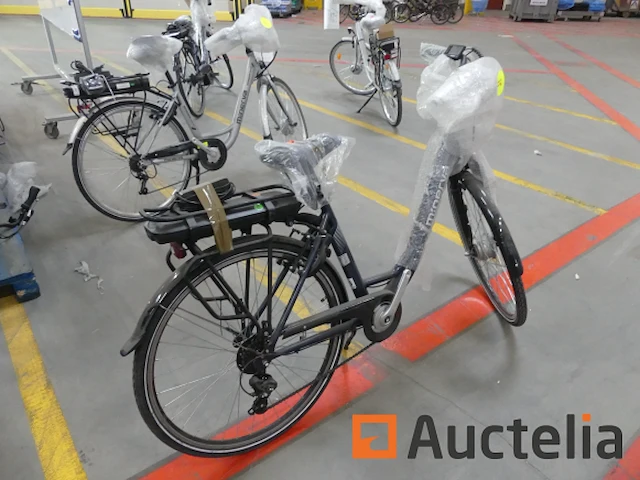 Minerva motor elektrische fiets bc0010236025 - afbeelding 9 van  10