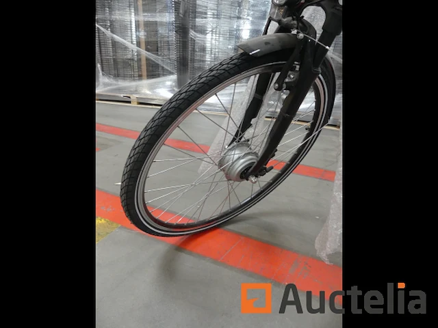 Minerva motor elektrische fiets bc0010236025 - afbeelding 10 van  10