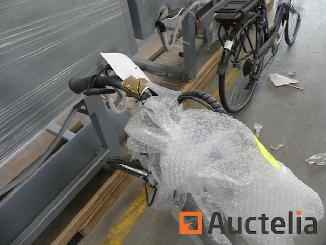 Minerva motor elektrische fiets bc0010236025 - afbeelding 3 van  9