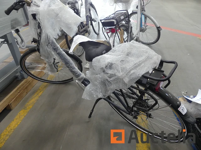 Minerva motor elektrische fiets bc0010236025 - afbeelding 8 van  9