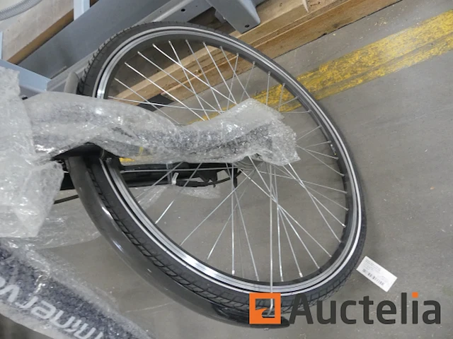Minerva motor elektrische fiets bc0010236025 - afbeelding 9 van  9