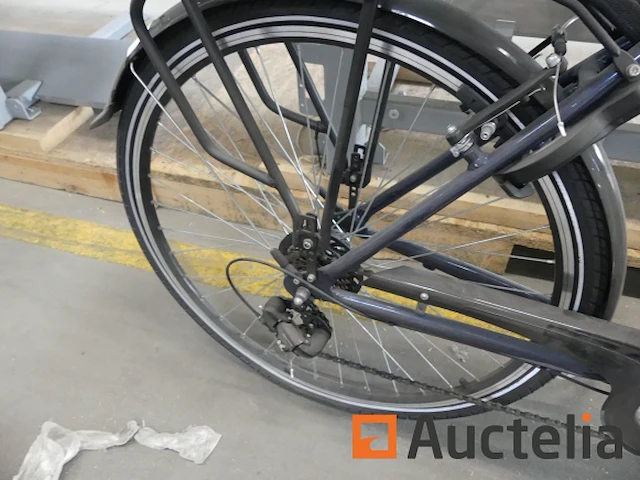 Minerva motor elektrische fiets bc0010236025 - afbeelding 5 van  8