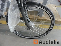 Minerva motor elektrische fiets bc0010236025 - afbeelding 7 van  8