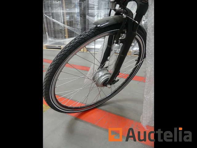 Minerva motor elektrische fiets bc0010236025 - afbeelding 6 van  10