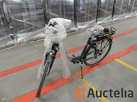 Minerva motor elektrische fiets bc0010236025