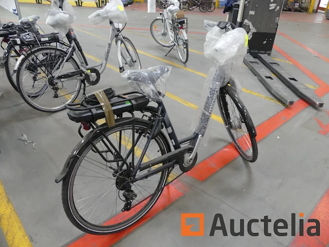 Minerva motor elektrische fiets bc0010236025 - afbeelding 6 van  11