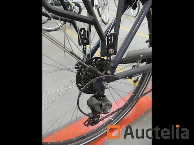 Minerva motor elektrische fiets bc0010236025 - afbeelding 8 van  11