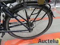 Minerva motor elektrische fiets bc0010236025 - afbeelding 9 van  11