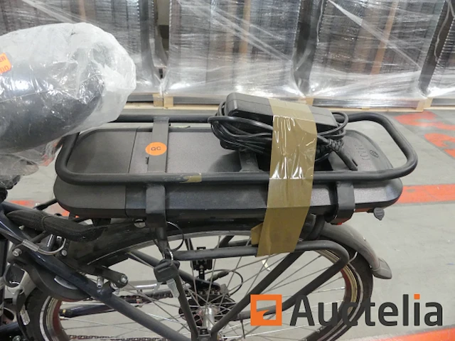 Minerva motor elektrische fiets bc0010236025 - afbeelding 11 van  11