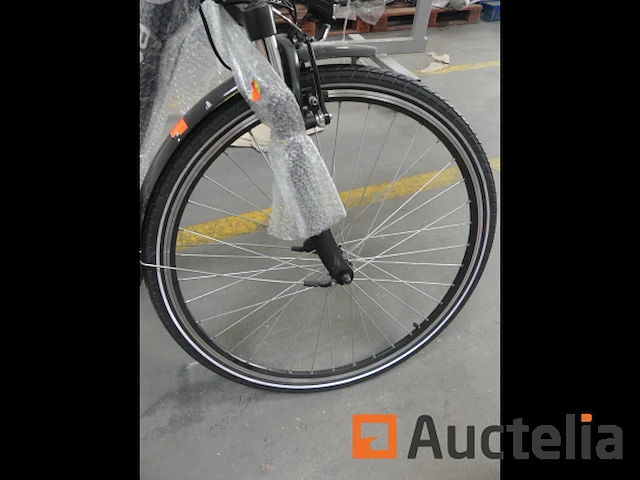 Minerva motor elektrische fiets bc0010236026 type 7 - afbeelding 10 van  12
