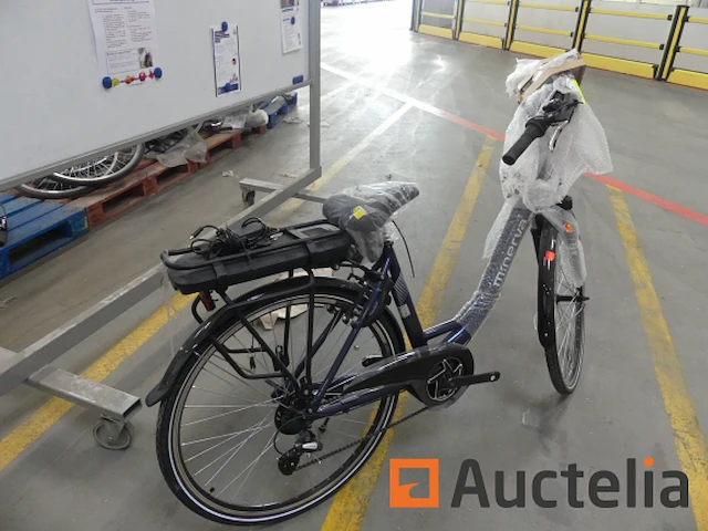 Minerva motor elektrische fiets bc0010236026 type 7 - afbeelding 2 van  12