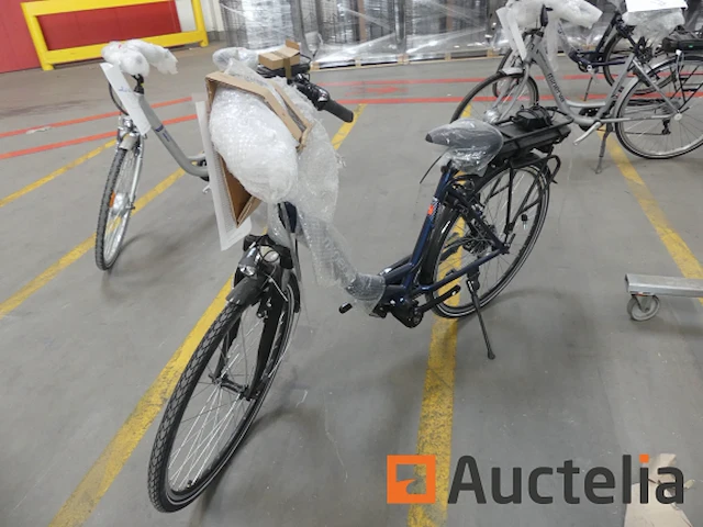 Minerva motor elektrische fiets bc0010236026 type 7 - afbeelding 1 van  12