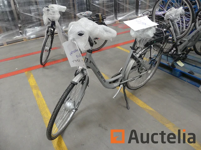 Minerva voyager comfort motor elektrische fiets - afbeelding 1 van  11