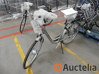 Minerva voyager comfort motor elektrische fiets - afbeelding 1 van  11