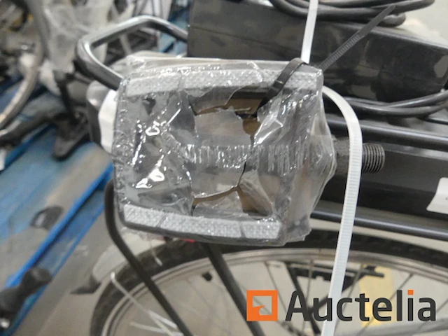 Minerva voyager comfort motor elektrische fiets - afbeelding 10 van  11