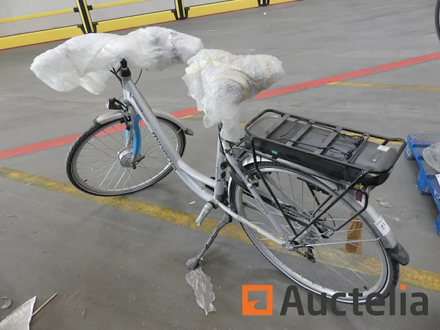 Minerva voyager comfort motor elektrische fiets - afbeelding 1 van  11