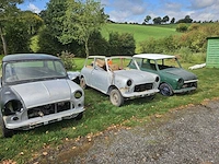 Mini cooper voorouders (3x)