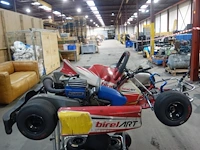 Mini kart birel art