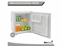 Mini koelkast - afbeelding 4 van  4
