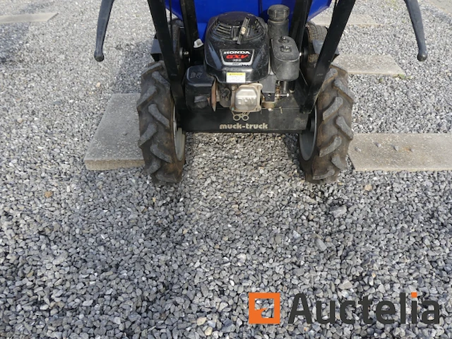 Mini muck-mruck thermische motor dumper - afbeelding 4 van  21