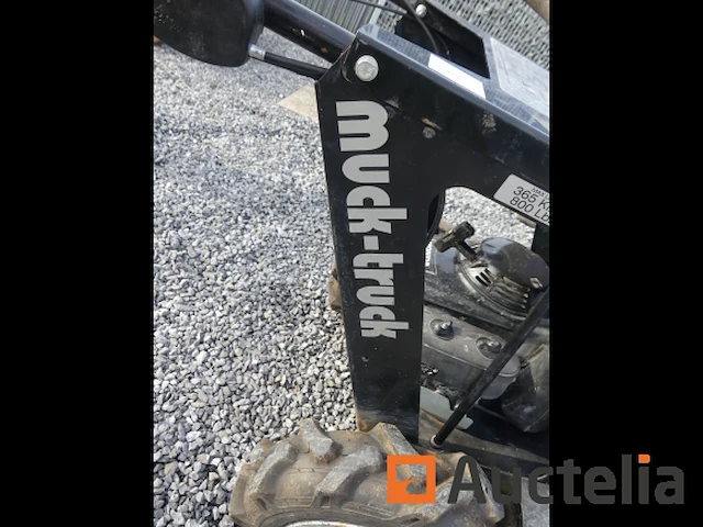 Mini muck-mruck thermische motor dumper - afbeelding 14 van  21