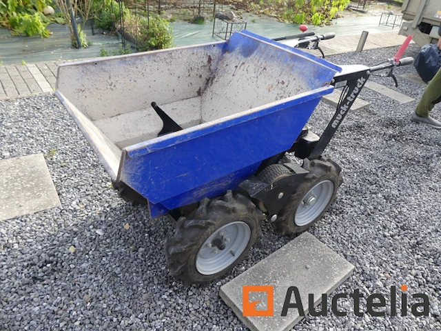 Mini muck-mruck thermische motor dumper - afbeelding 16 van  21