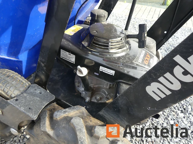 Mini muck-mruck thermische motor dumper - afbeelding 19 van  21