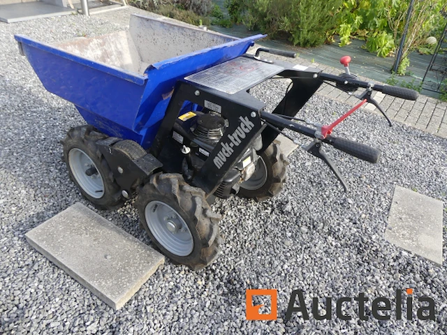 Mini muck-mruck thermische motor dumper - afbeelding 21 van  21