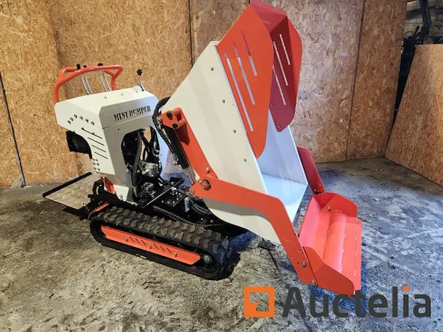Minidumpingvrachtwagen mini dumper - afbeelding 8 van  11