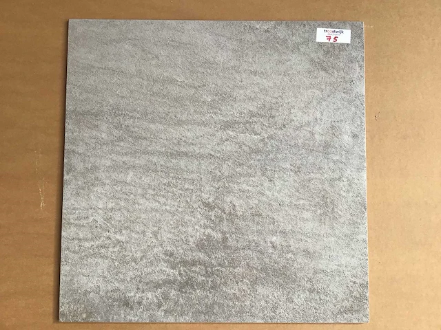 Mirage silverlake nemi 60x60 cm tegel 11,16 m² - afbeelding 1 van  6
