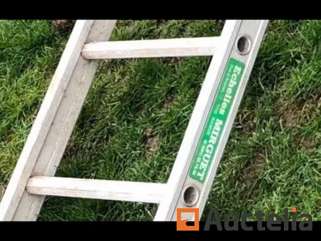 Mirguet ladder - afbeelding 1 van  4