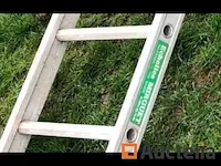 Mirguet ladder
