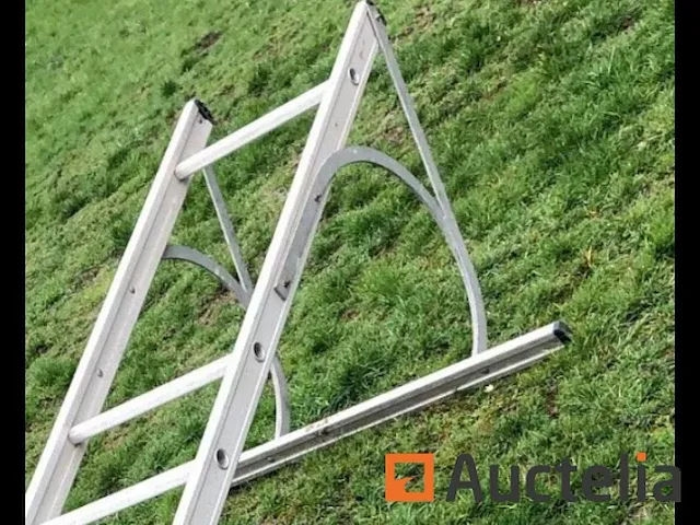 Mirguet ladder - afbeelding 2 van  4