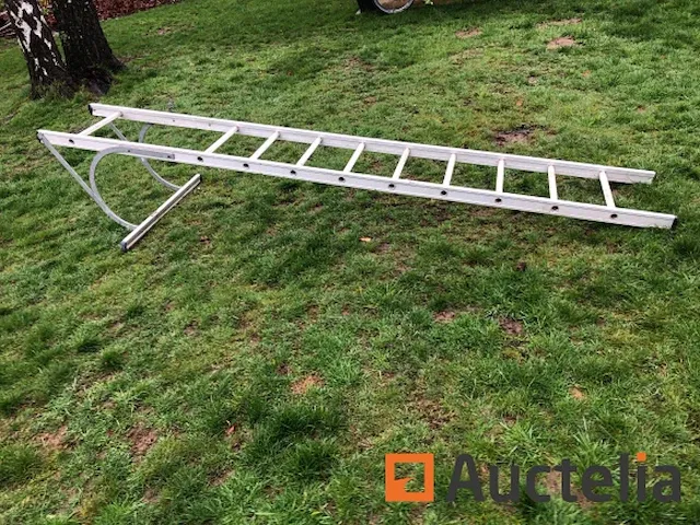 Mirguet ladder - afbeelding 3 van  4
