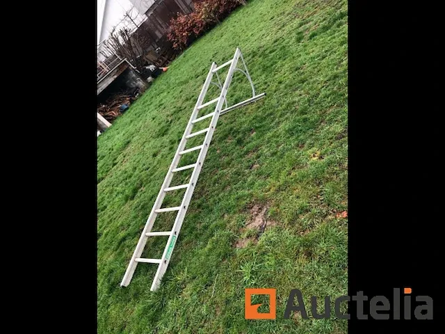 Mirguet ladder - afbeelding 4 van  4